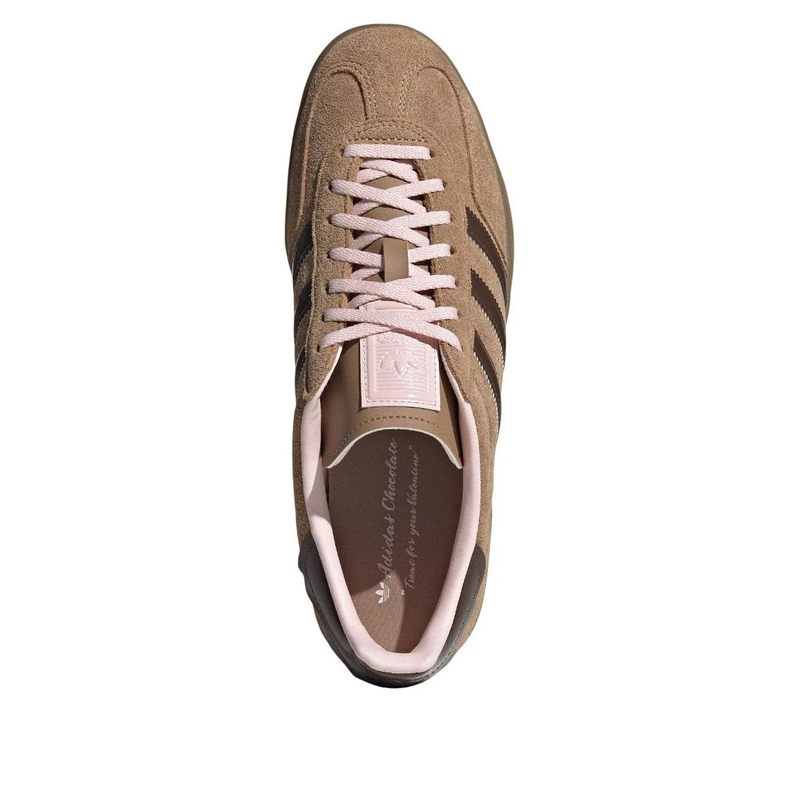 gazelle indoor uomo donna