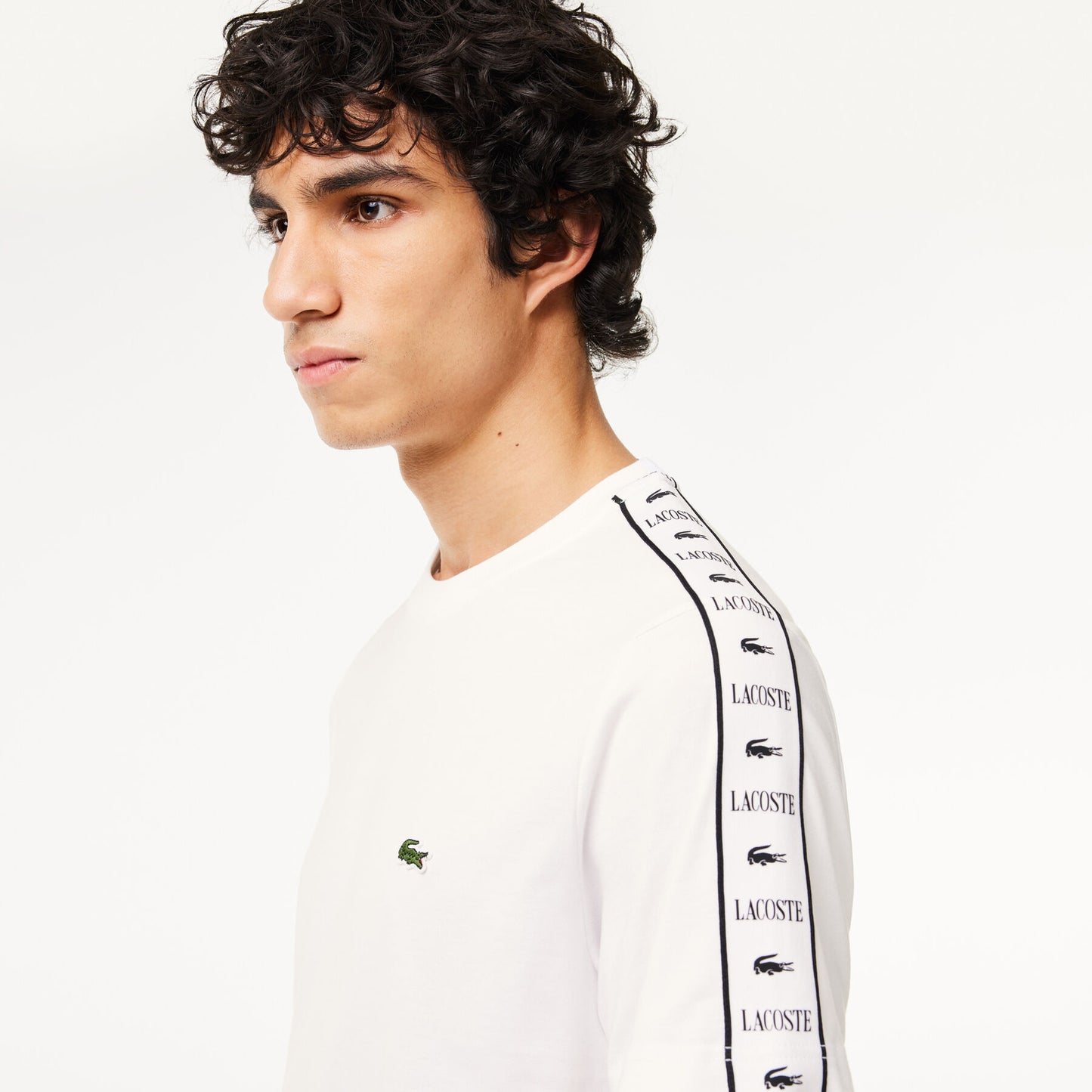 t-shirt lacoste banda uomo