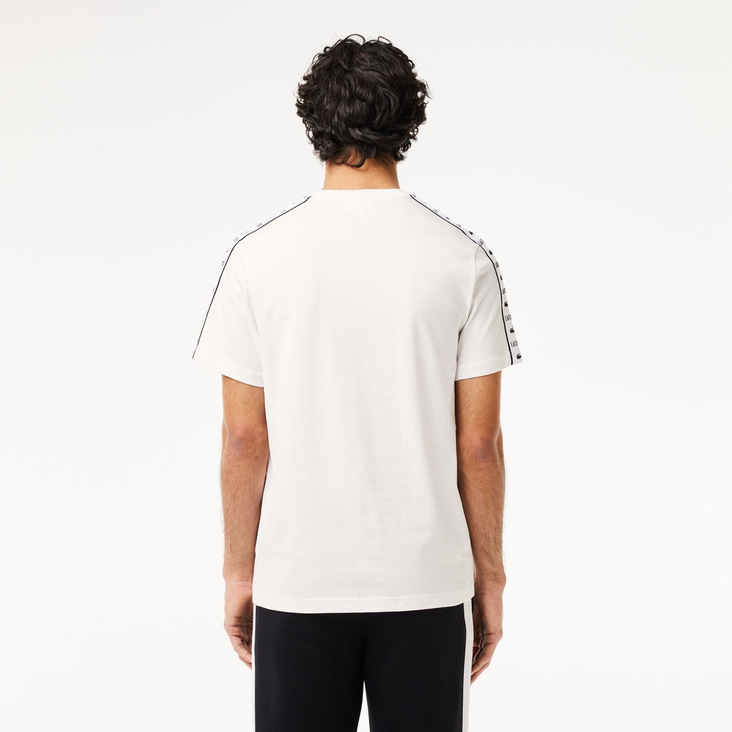 t-shirt lacoste banda uomo